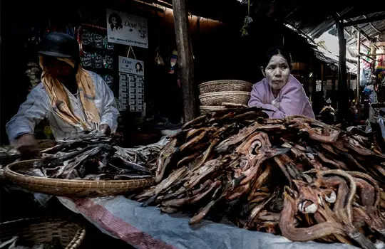 ORNA NAOR | STREET PHOTOGRAQPHY